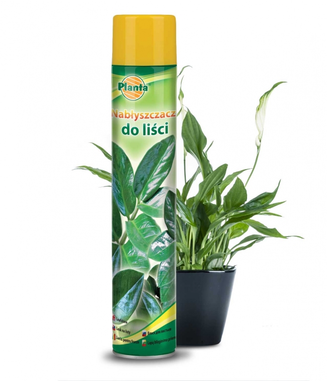 Балсам за лъскави листа Planta